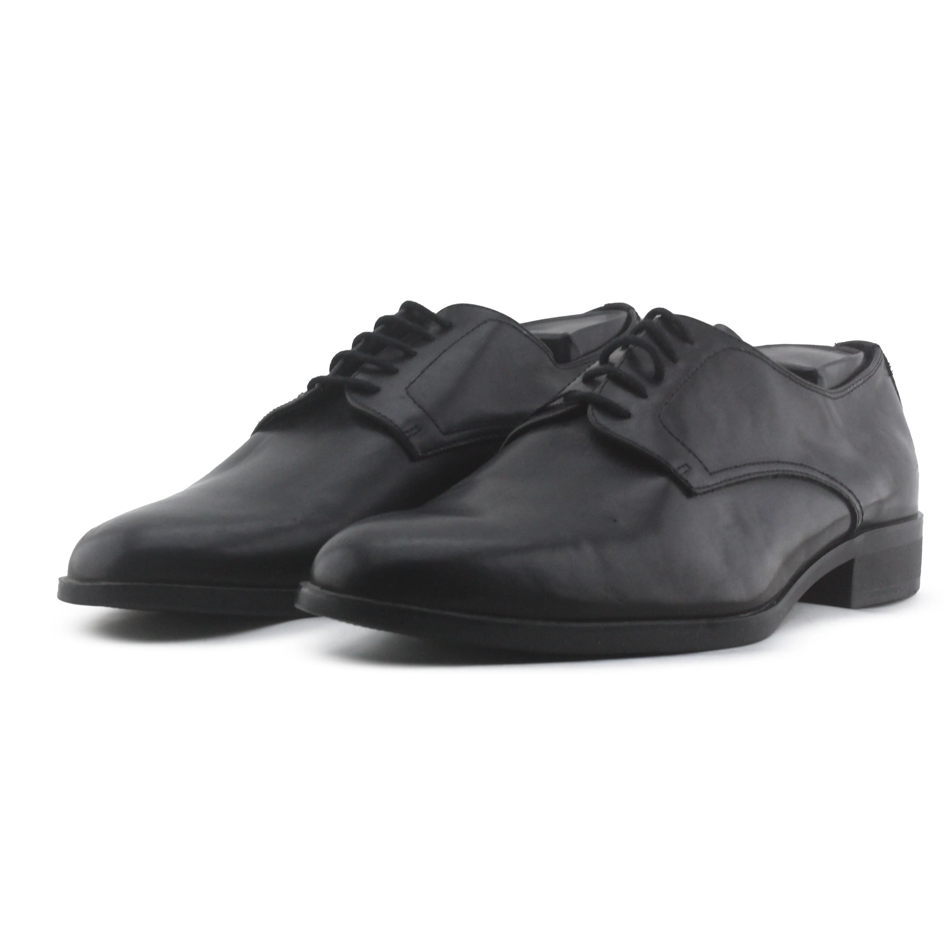 Zara Pointed Toe Shoe
