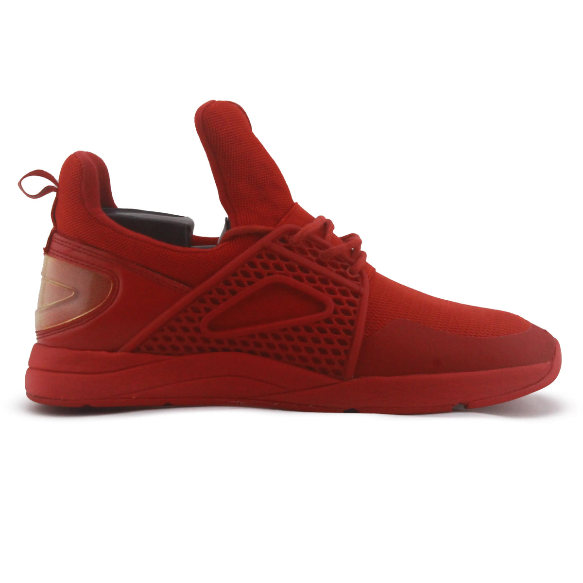 Aldo