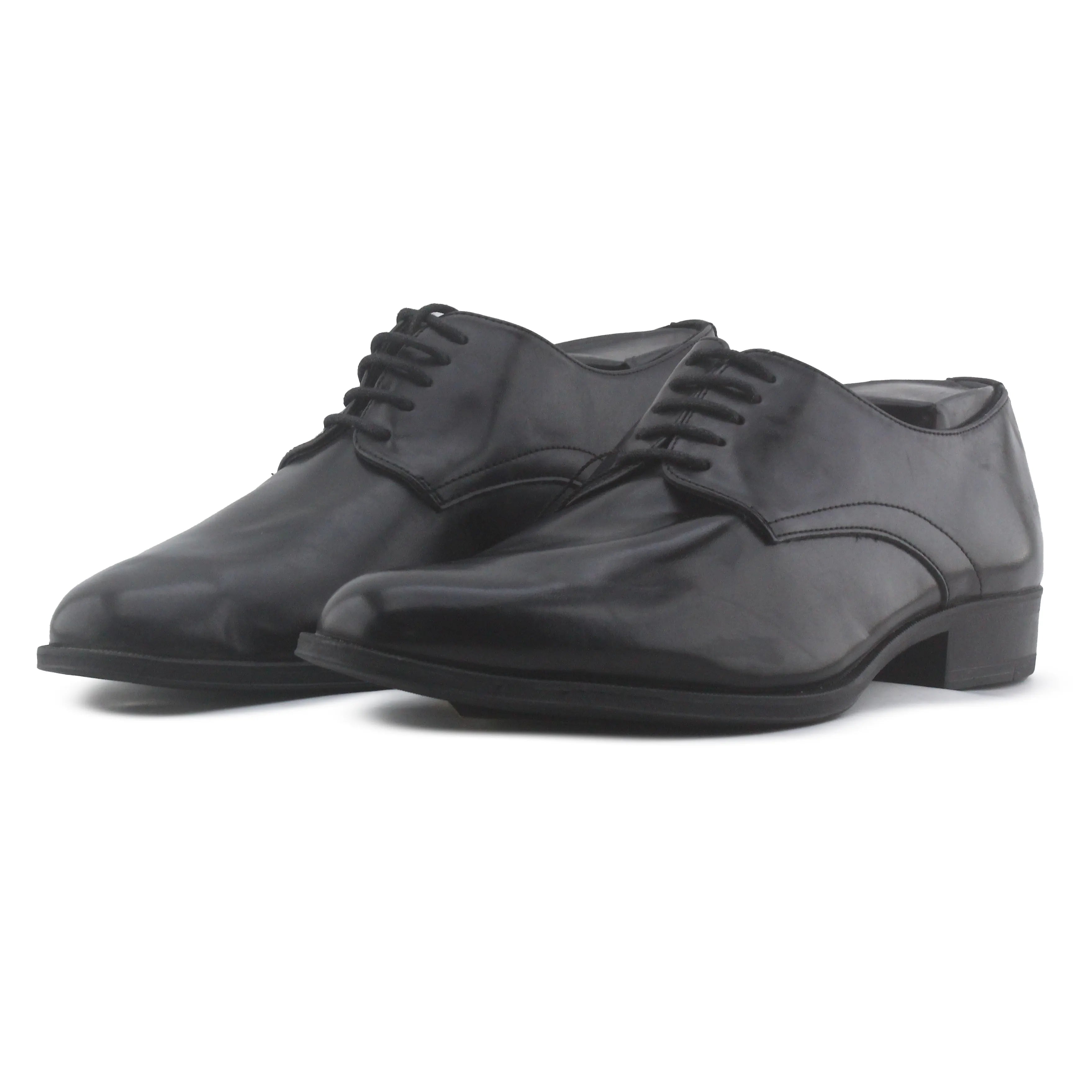 Zara Pointed Toe Shoe