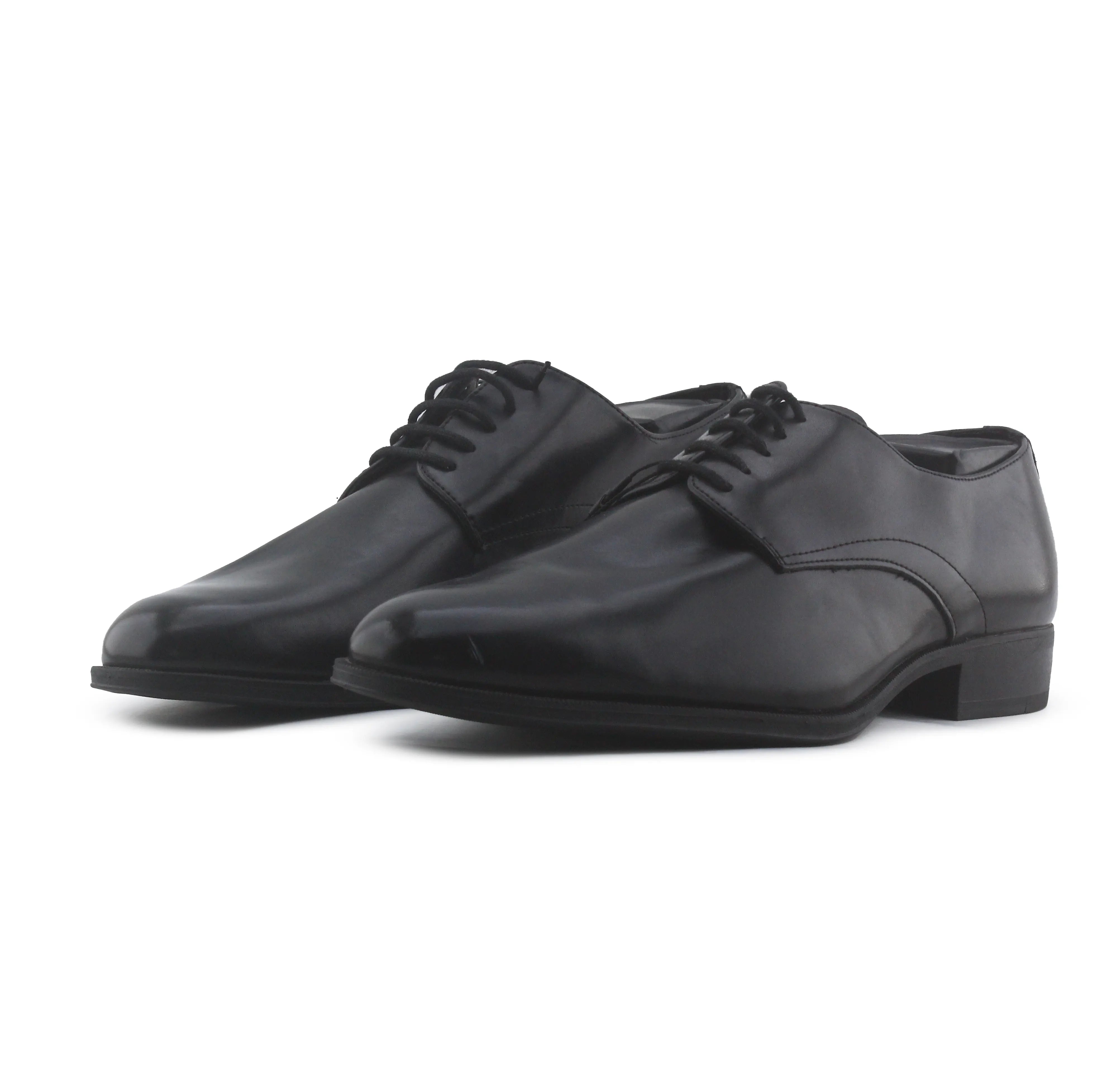 Zara Pointed Toe Shoe
