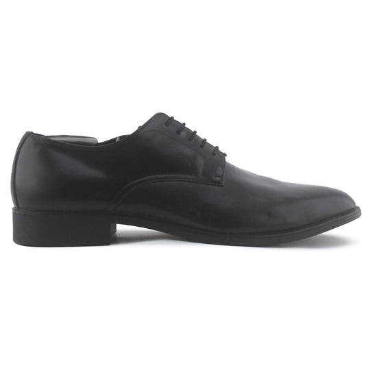 Zara Pointed Toe Shoe