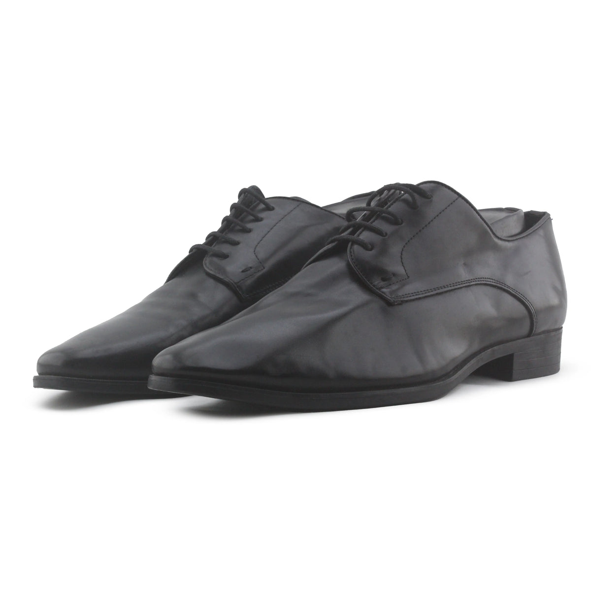 Zara Pointed Toe Shoe