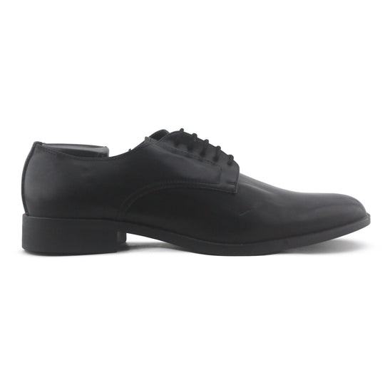 Zara Pointed Toe Shoe