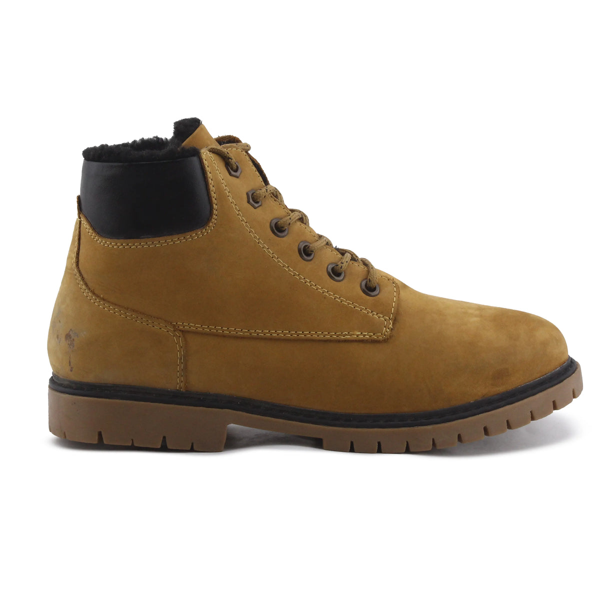 Zara Zipper Lace Up Ankle Boot
