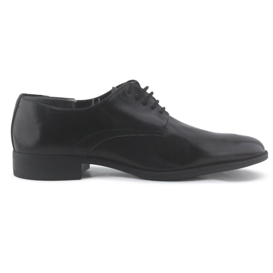 Zara Pointed Toe Shoe