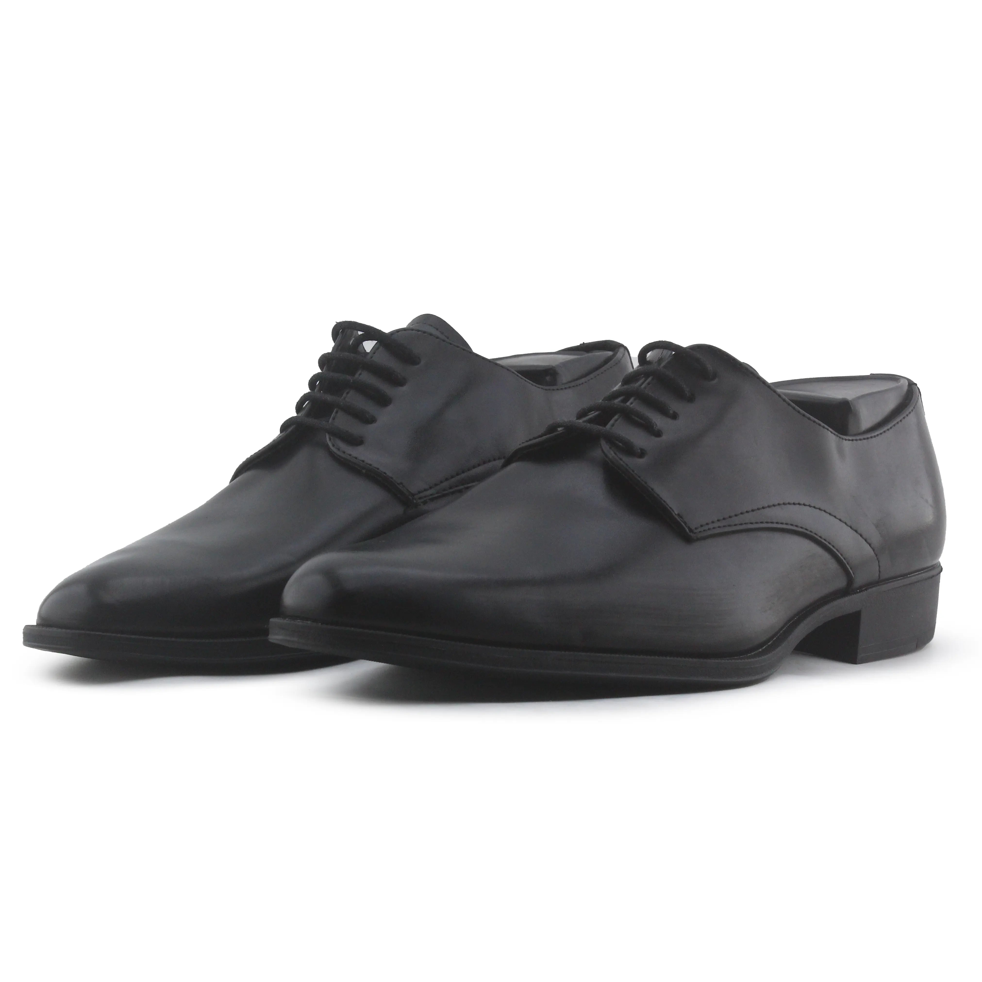Zara Pointed Toe Shoe